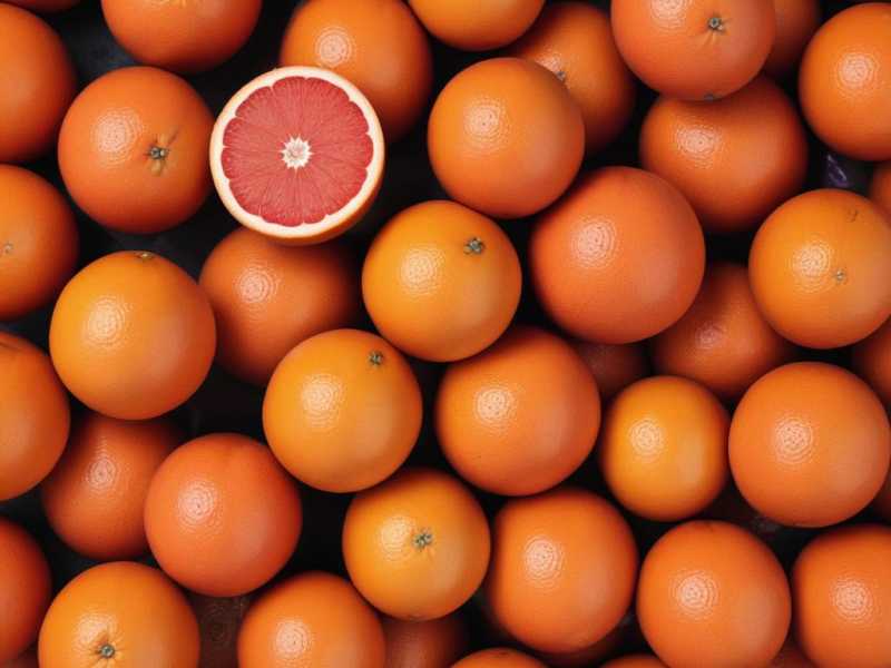 Einführung in Grapefruitkernextrakt
